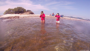 Kayak & Snorkeling with Transportation photo 4