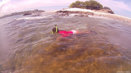 Kayak & Snorkeling with Transportation photo 3