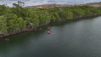 Mangrove Kayaking Tamarindo photo 4