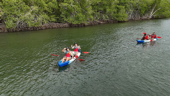 Mangrove Kayaking Tamarindo photo 2