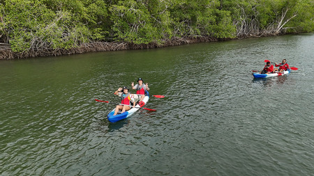 Mangrove Kayaking Tamarindo photo 2