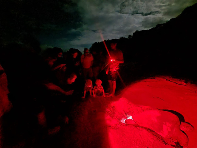 Turtle Watching Tamarindo Photo
