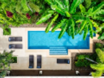 Casa Florecer photo 4