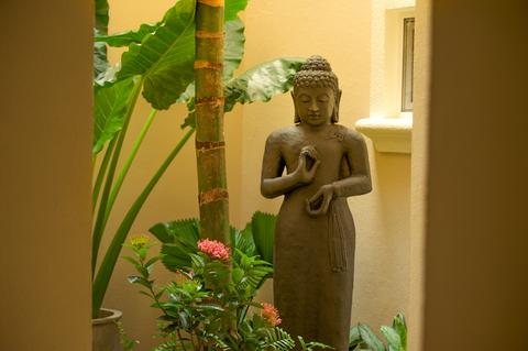 Jardin del Eden - Tamarindo Costa Rica Hotel