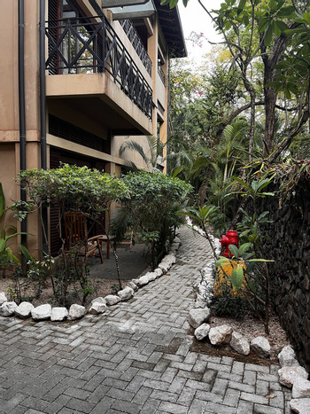 Ibis Condo 8 photo 3