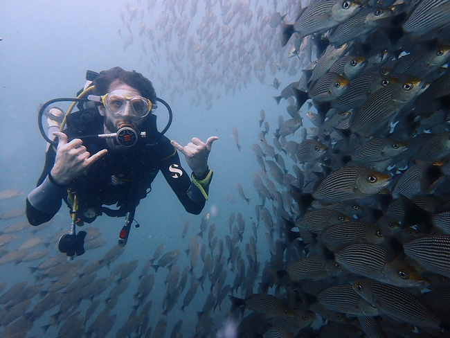 Catalina Islands Diving Tour
 Photo