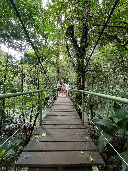 Tenorio Volcano and Rio Celeste Hike