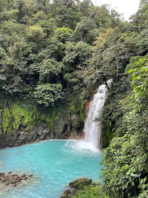 Tenorio Volcano and Rio Celeste Hike
