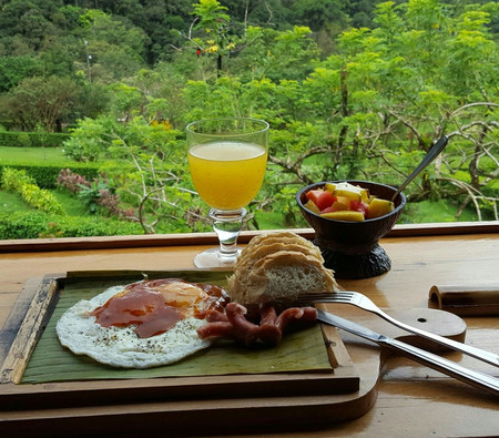 Celeste Mountain Lodge photo 3