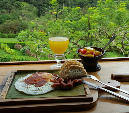 Celeste Mountain Lodge