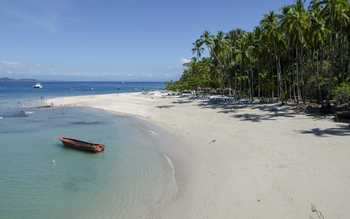 Tortuga Island Tour 