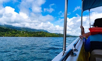 Marino Ballena Park Combination Tour (Whale - Dolphin combo Tour) 