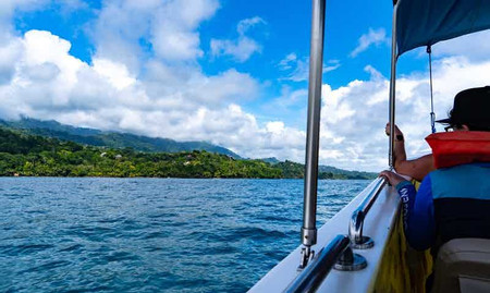 Marino Ballena Park Combination Tour (Whale - Dolphin combo Tour) 