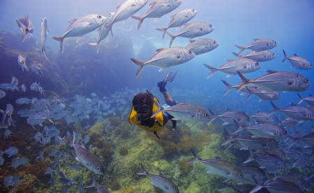 Caño Island Snorkeling