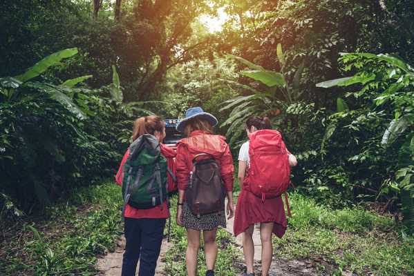 Nature Trip with Friends, Costa Rica