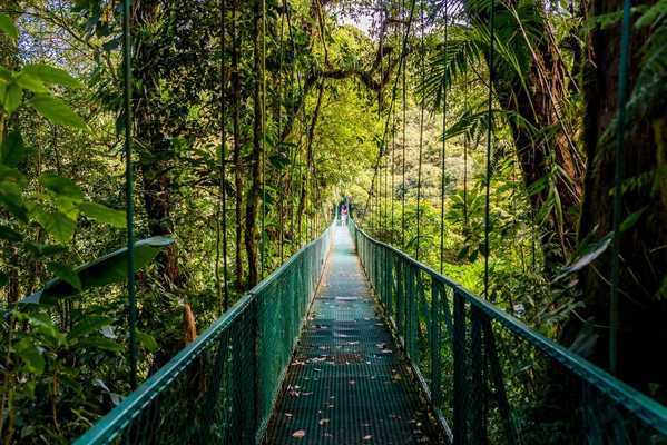 Caribbean, Mountains, & Pacific Beaches, Costa Rica