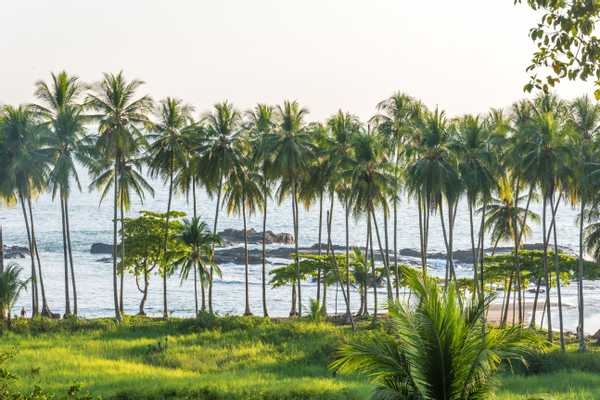 A Real Taste of Costa Rica, Costa Rica