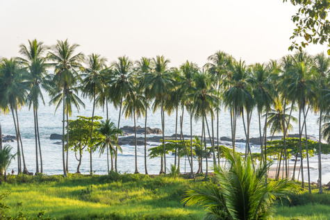 A Real Taste of Costa Rica
