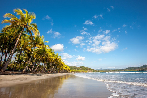 Caribbean, Cloud Forests, & Pacific Beaches