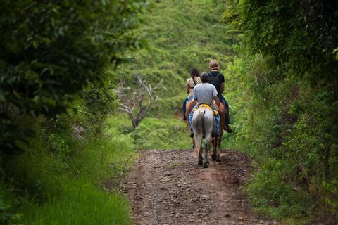 From Cloud Forests to Beaches Costa Rica