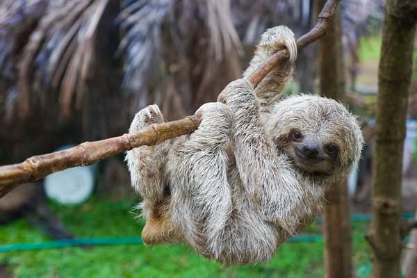 Costa Rica: Itinerario Clásico de 8 Días Para Parejas en la Naturaleza, Costa Rica