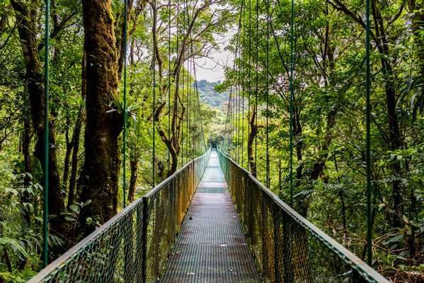 Exploración de la Naturaleza Multi-Familia por 8 Días en Costa Rica, Costa Rica