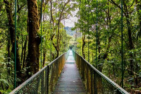 Exploración de la Naturaleza Multi-Familia por 8 Días en Costa Rica Costa Rica