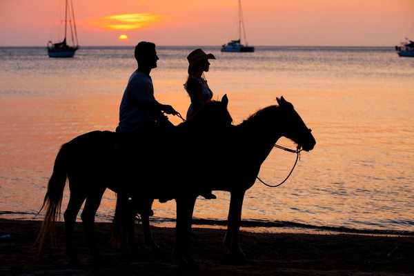 Itinerario de la Exploración de 8 Días por el Caribe y Selva Tropical en Costa Rica, Costa Rica