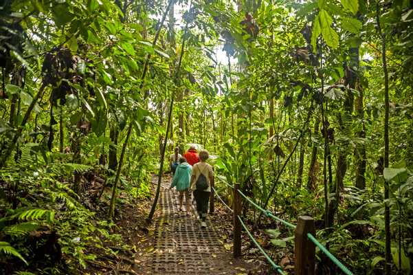 Rainforest Adventure & Beach Relaxation, Costa Rica