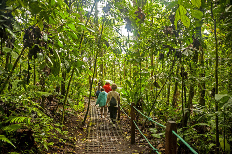 Rainforest Adventure & Beach Relaxation