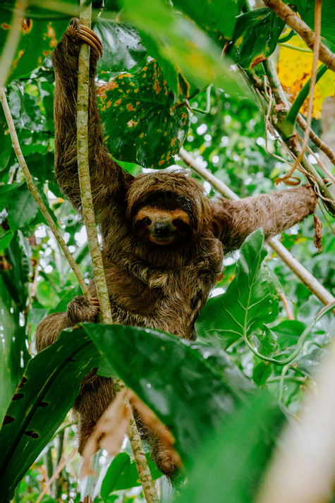 Costa Rica Family Adventure Quest 