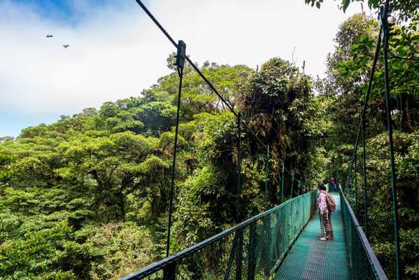 Just What Our Familiy Needed, Costa Rica