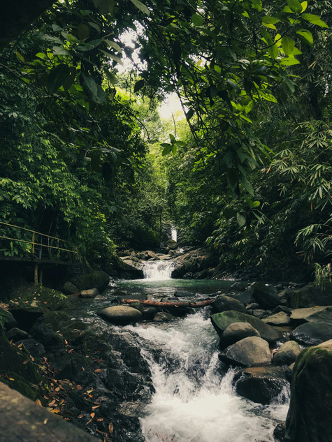 Family Adventure Through Costa Rica