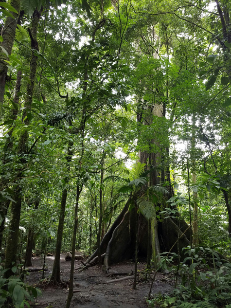 11 days · Arenal, Monteverde, Manuel Antonio