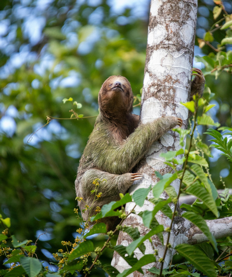 8 days · Arenal, Monteverde, Manuel Antonio
