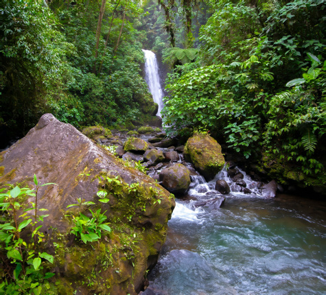 Costa Rica Jungle to Coast
