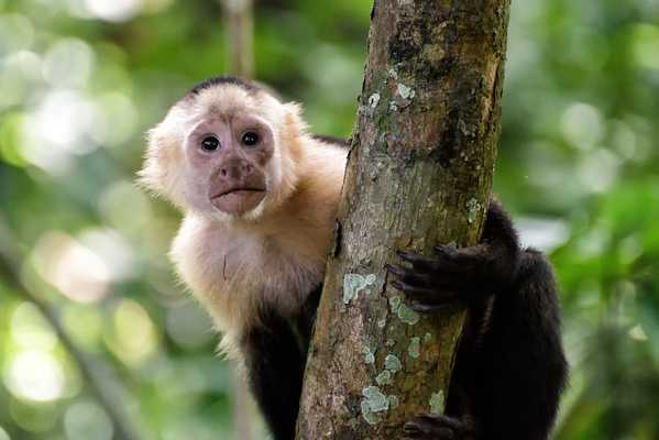  Our Easy Escape to Pura Vida, Costa Rica