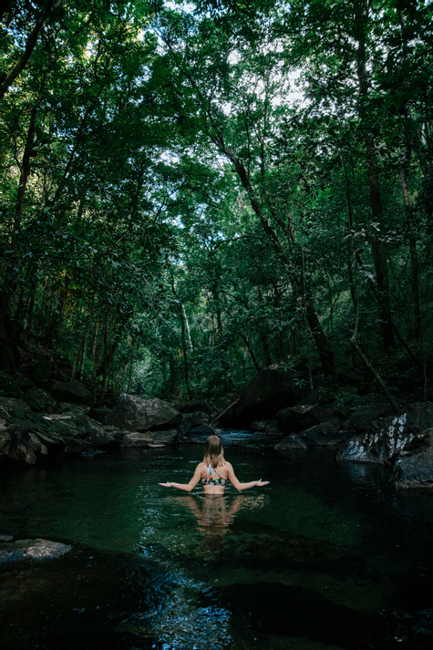 Tropical Adventure with Friends