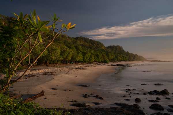 We'll Never Forget This Trip, Costa Rica