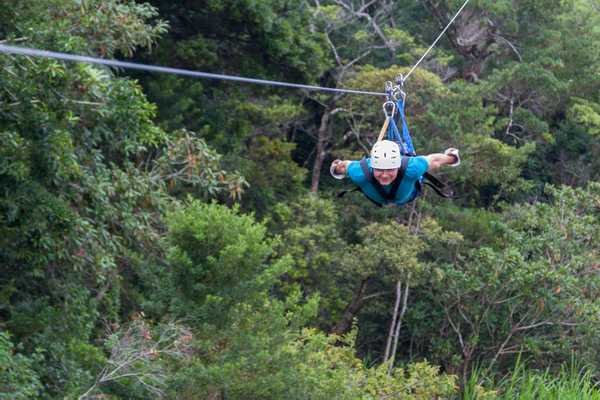 We Soared Through the Canopy, Costa Rica