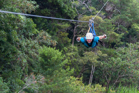 We Soared Through the Canopy