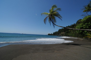 Corcovado photo 3
