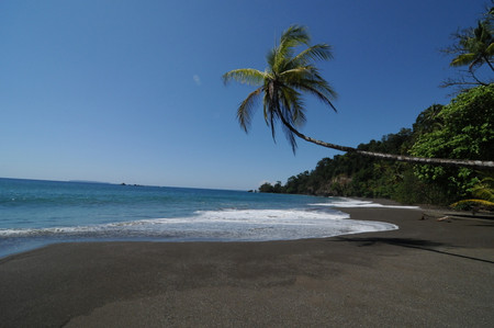 Corcovado photo 3