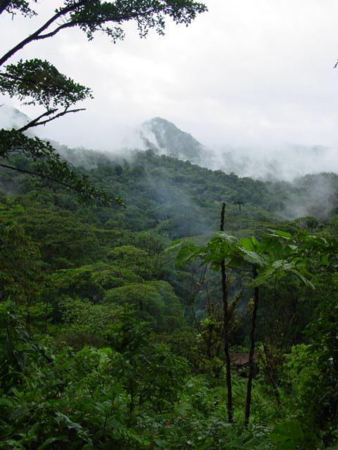 Penas Blancas Guanacaste Costa Rica 2023 Travel Guide Anywhere