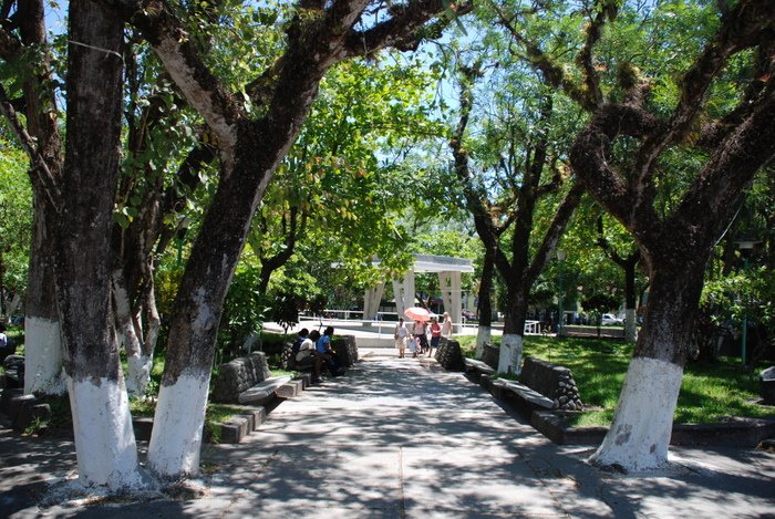 Shade trees and paths in Nicoya's central park