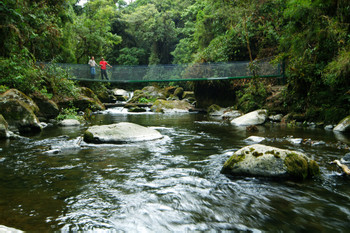 Costa Rica Cloud Forests