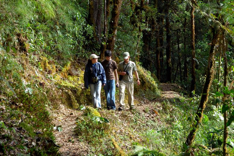 San Gerardo de Dota, Costa Rica 2024 Travel Guide