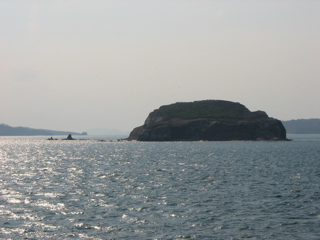 Guayabo Island
