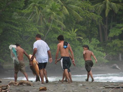 Pavones Costa Rica