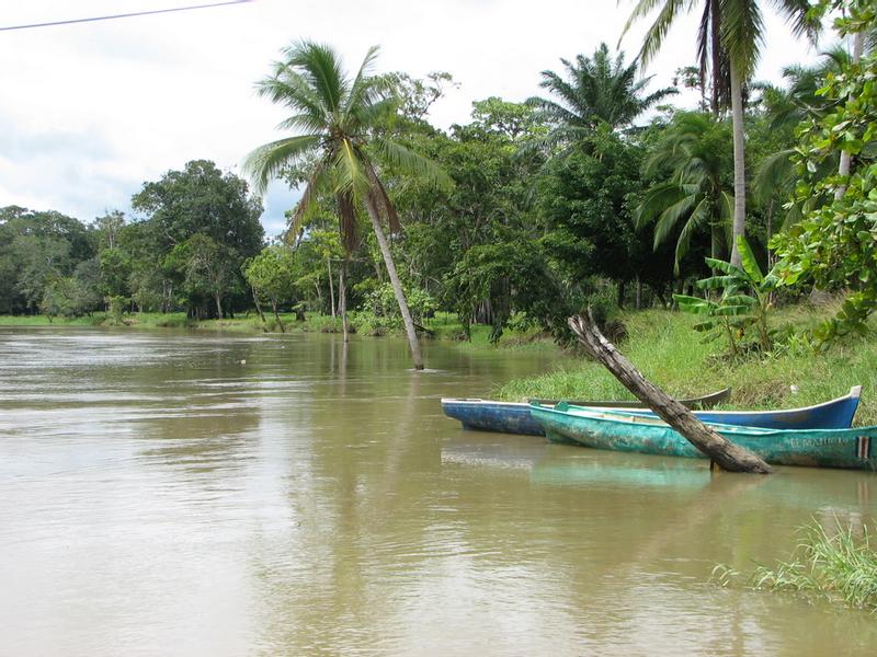 Pavones, South Pacific Costa Rica 2023 Travel Guide Anywhere